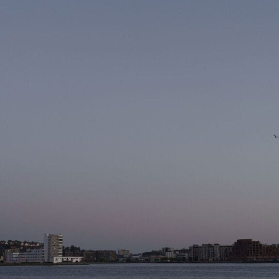 TPA_Foto_Tord_F_Paulsen_12_2500px