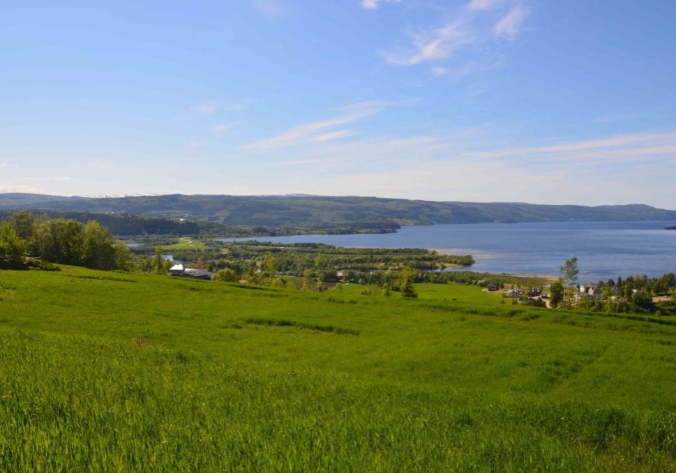 Samboer eller gift med en bonde?